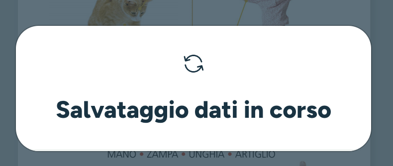 salvataggio.png