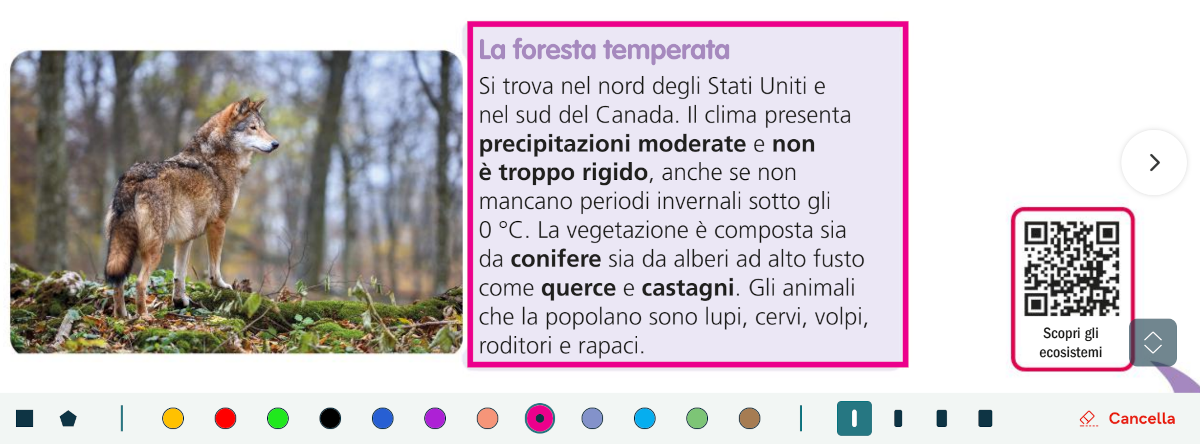 kids_strumenti24_4.png