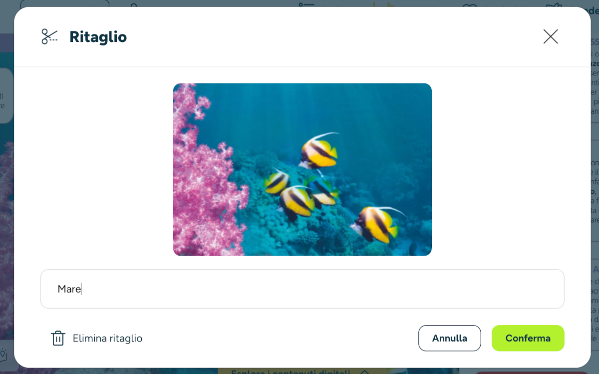 kids_strumenti24_11.png