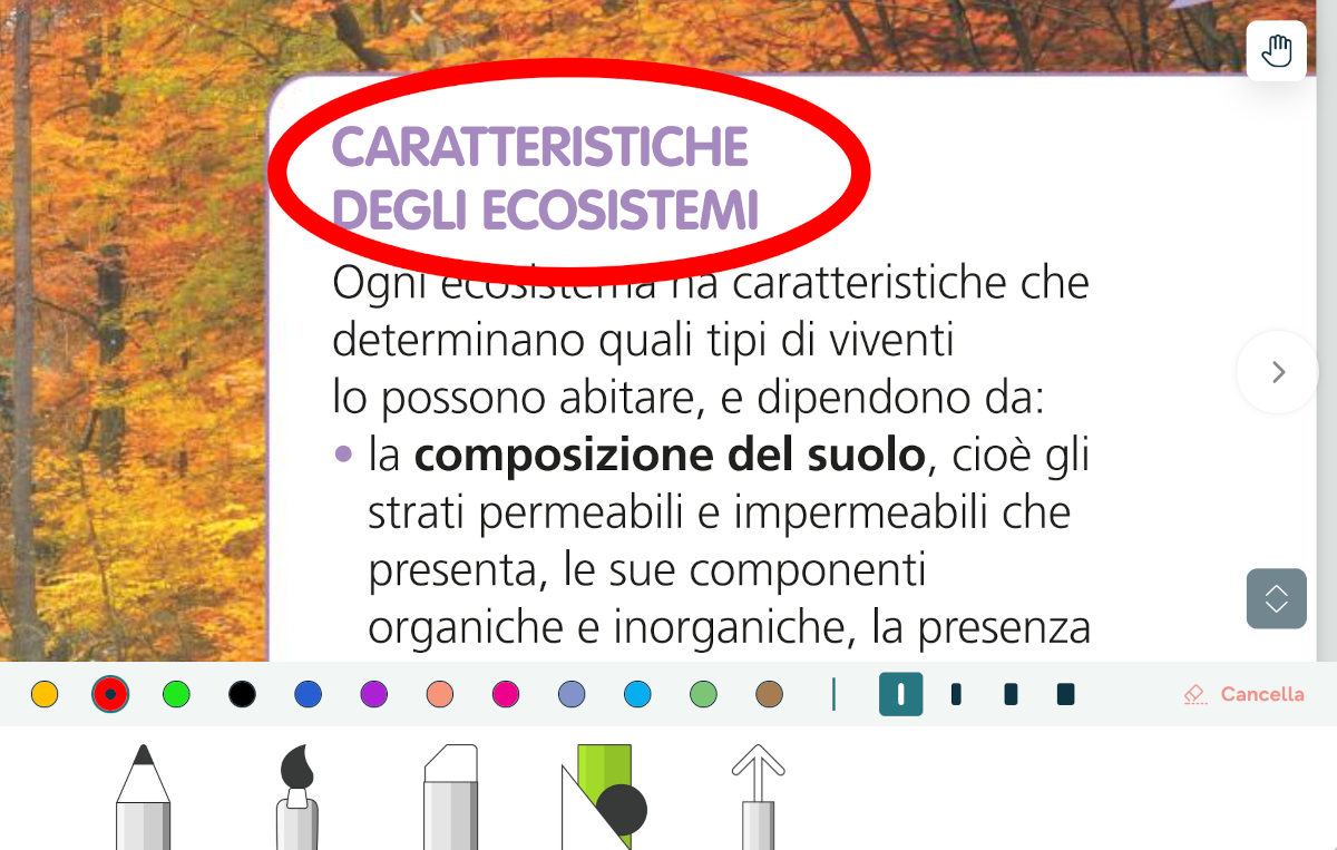 kids_strumenti24_3.png