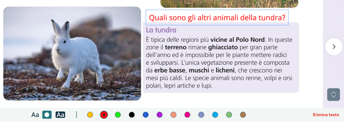 kids_strumenti24_5.png