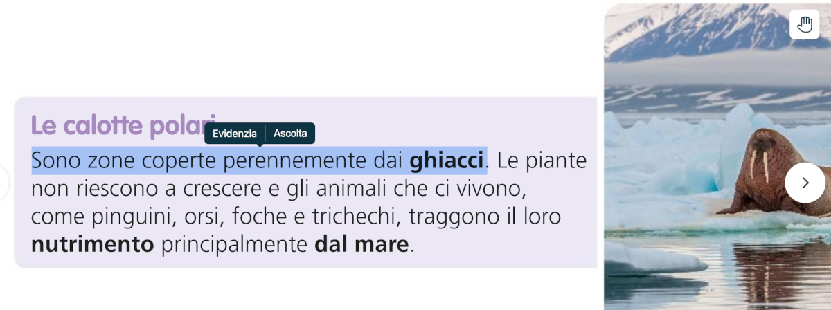 kids_strumenti24_6.png