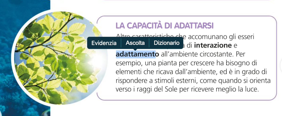 kids_strumenti24_12.png