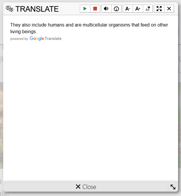 kids_traduci_3.png