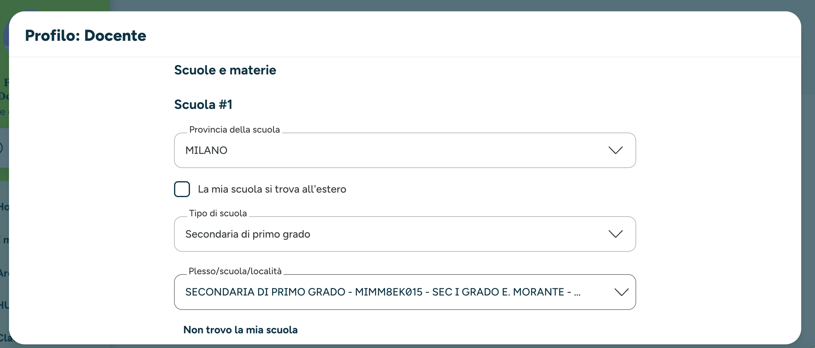 agg_profilo2.png