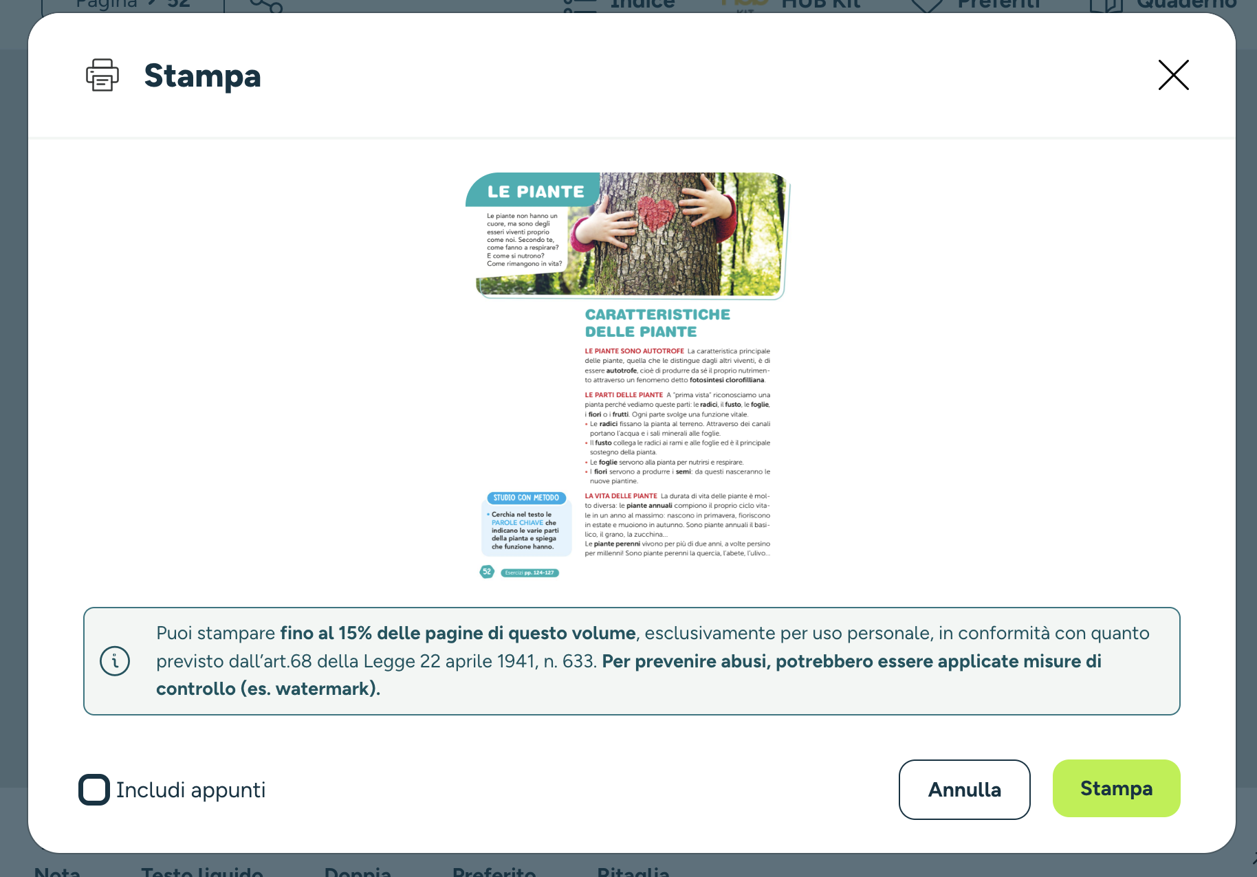 stampa_kids_2.png